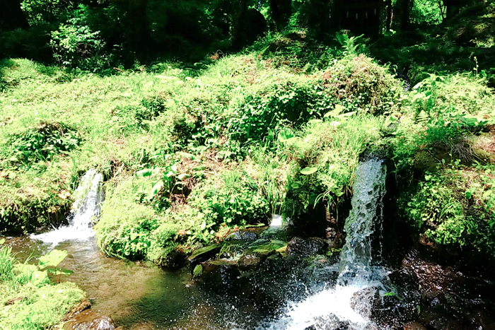 滝の頭湧水
