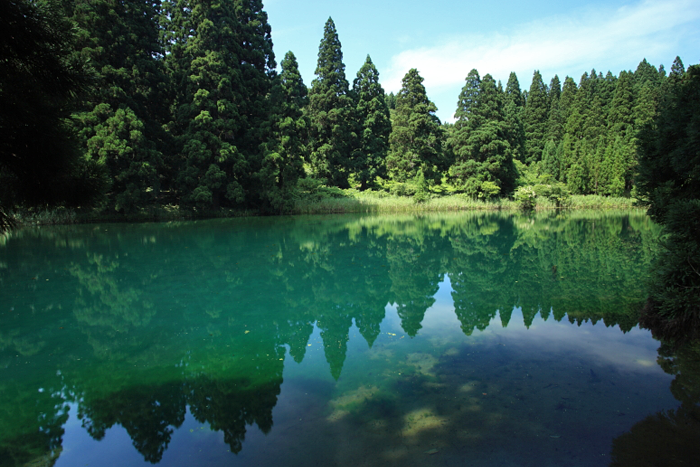 滝の頭の湖面