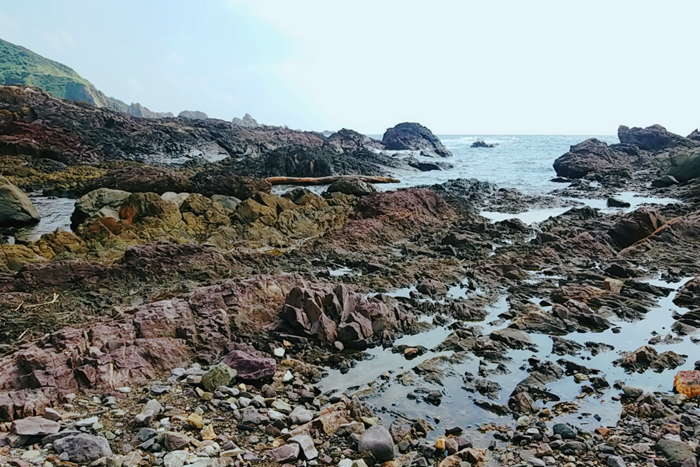 男鹿水族館GAO周辺の岩場