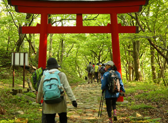 山かけ