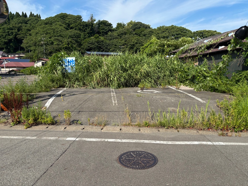 目の前にコンクリートと草で覆われた土地が広がっている。