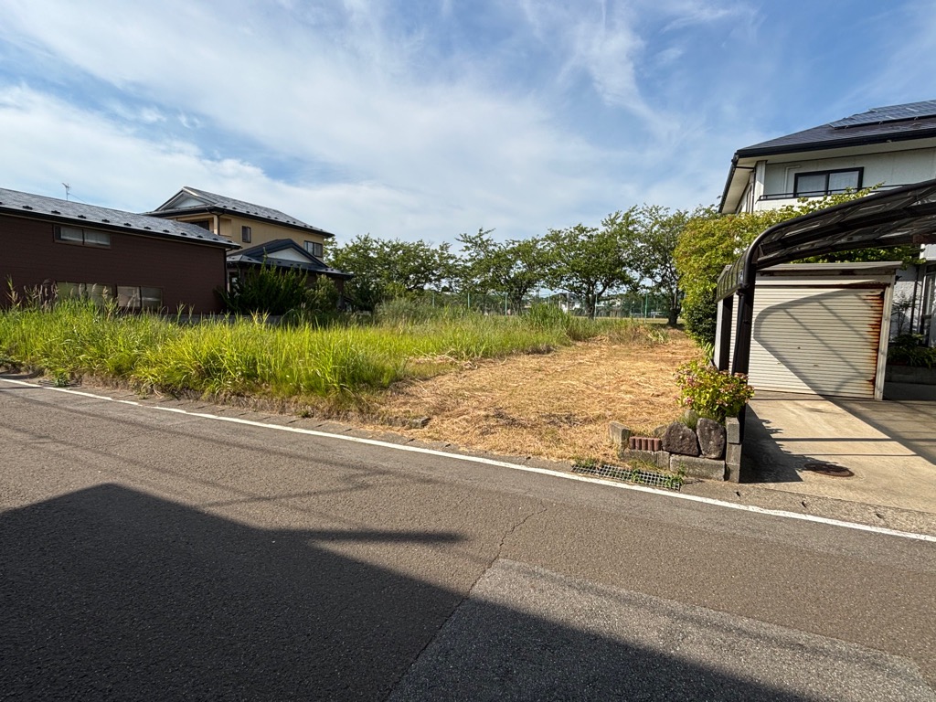 正面に土地が広がっており、草が生い茂っている。