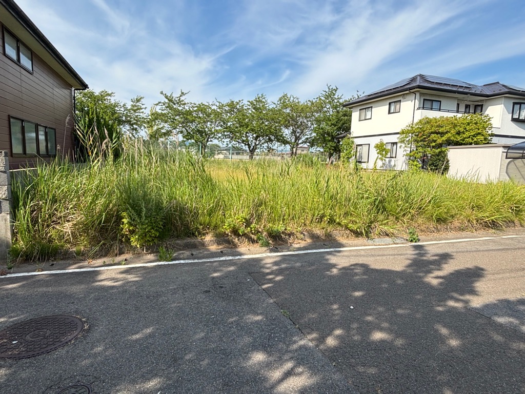 正面に土地が広がっており、草が生い茂っている。