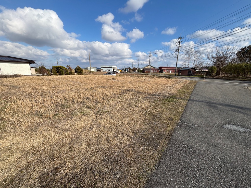 目の前に土地が広がっており、草が生い茂っている。