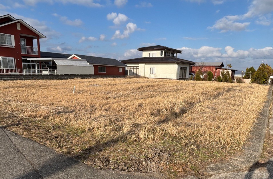 目の前に土地が広がっており、草が生い茂っている。