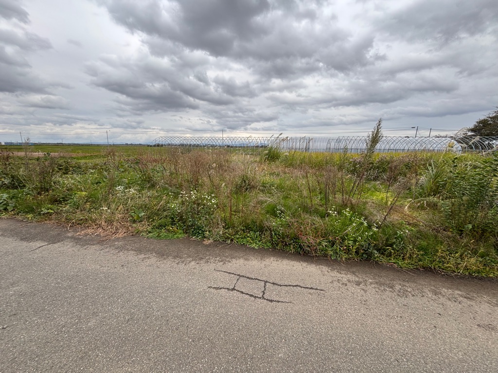 正面に土地が広がっており、草が生い茂っている。