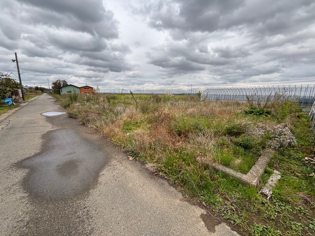 目の前に土地が広がっており、草が生い茂っている。