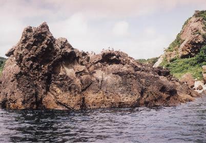 海にある凹凸のある大きな岩の写真
