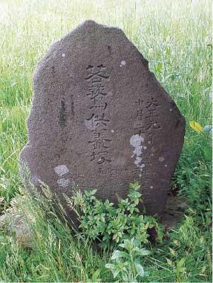 茂った草の上に文字が書かれていて、丸みを帯びた石碑が建っている写真