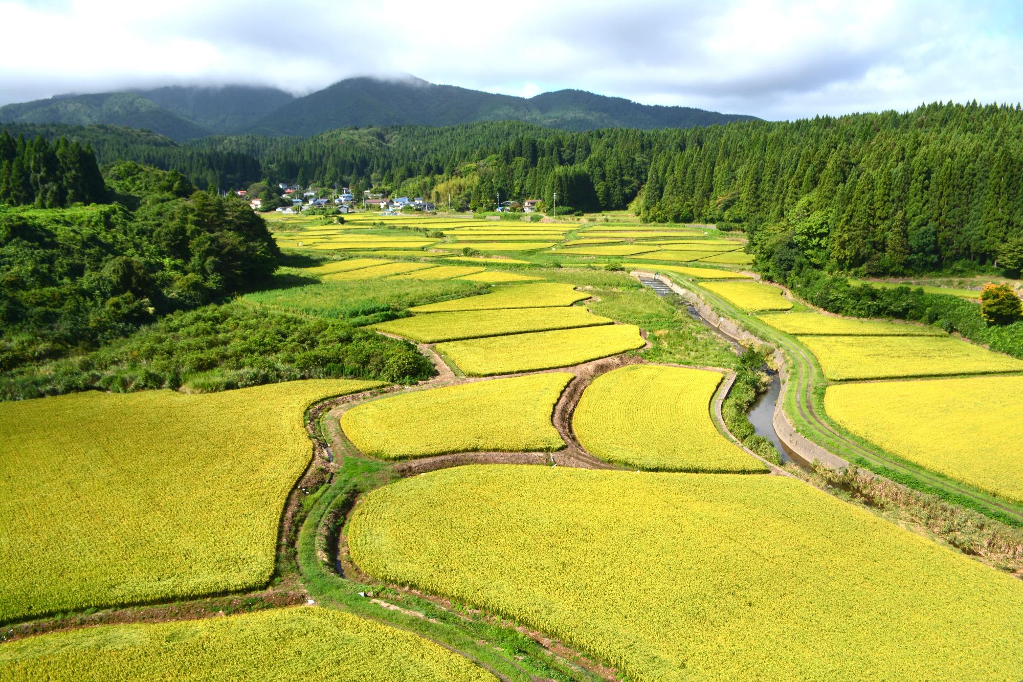 山間部田園