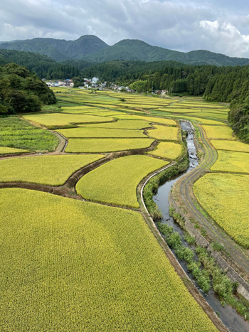 男鹿市安全寺の棚田