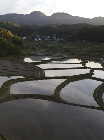 男鹿市北浦安全寺の棚田