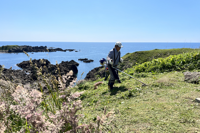 入道崎で草刈りをするジオパークガイド会長