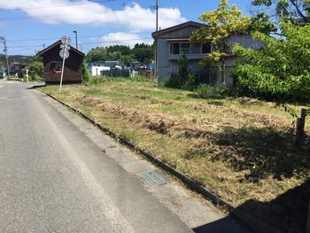 道路沿いにあり草に覆われた土地の写真