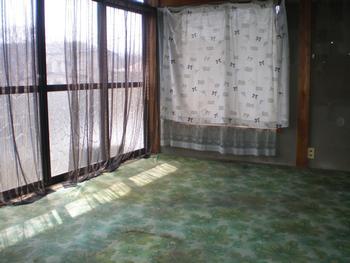 緑色の絨毯が敷かれた部屋の写真