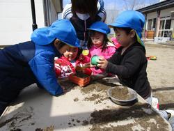 子供たちが先生と外で砂遊びをしている写真